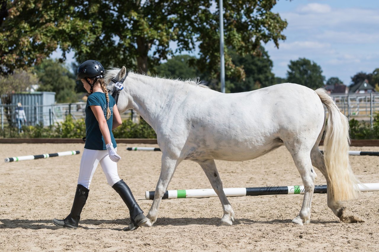 Bild 58 - Pony Akademie Turnier
